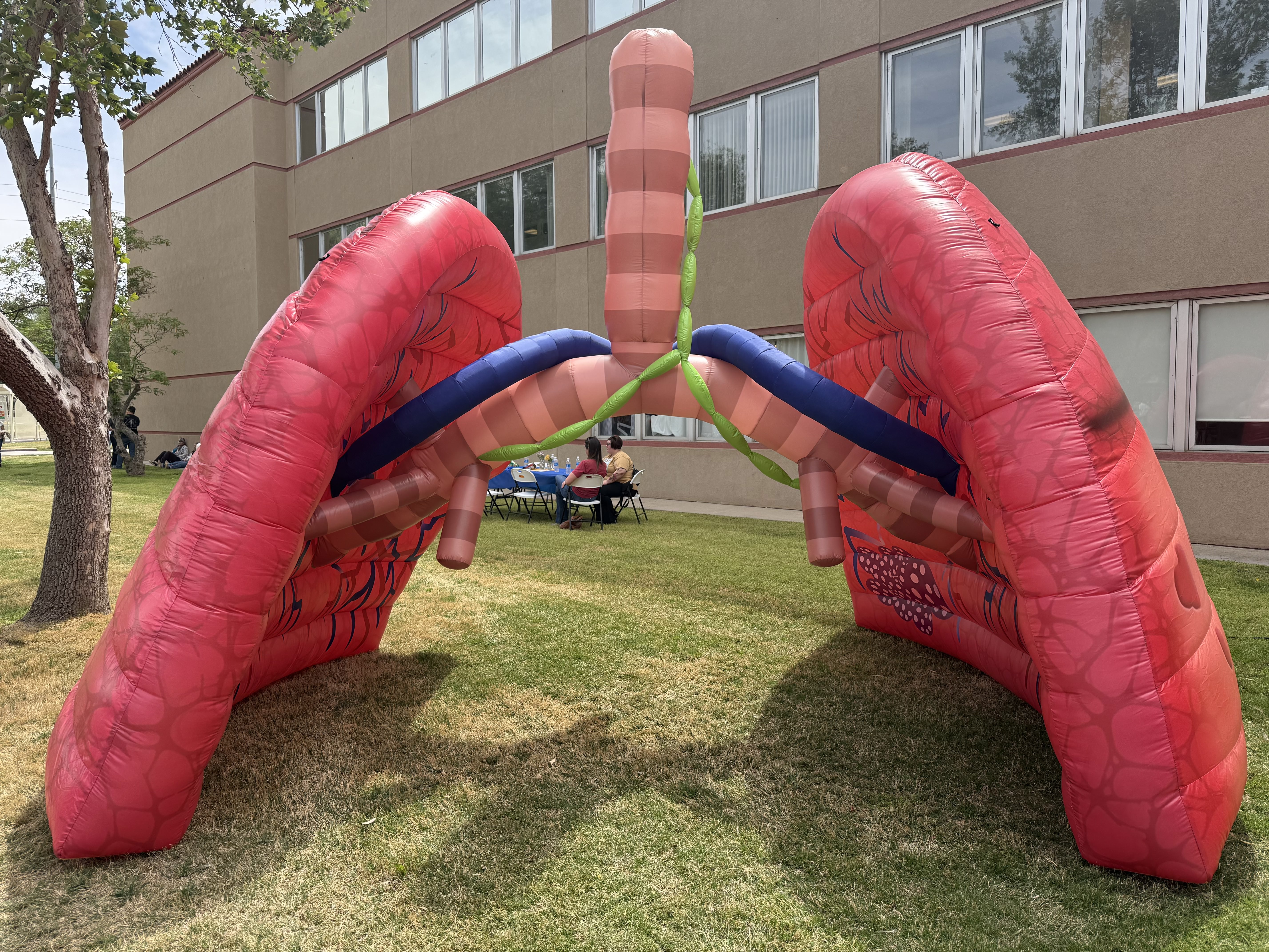 The inflatable lungs