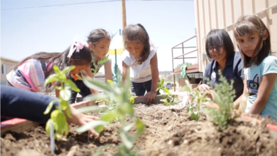A group of Navajo children work in a plant bed as part of a gardening project